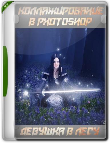 Коллажирование в Photoshop. Девушка в лесу (2019)