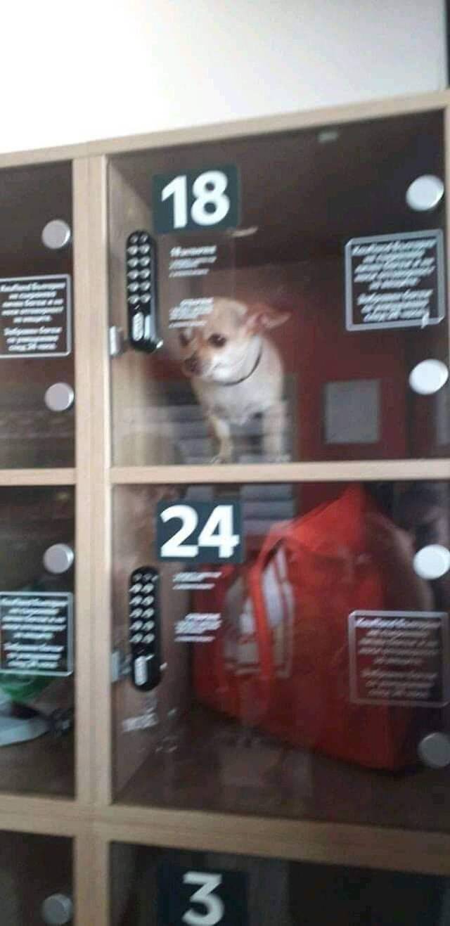 y4ph9pil.jpg