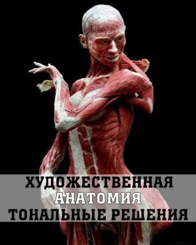 Художественная анатомия. Тональные решения (2017)
