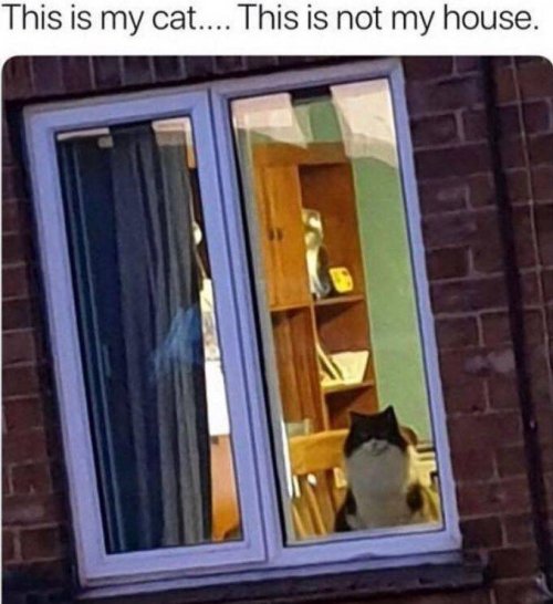 usvy8gv3.jpg