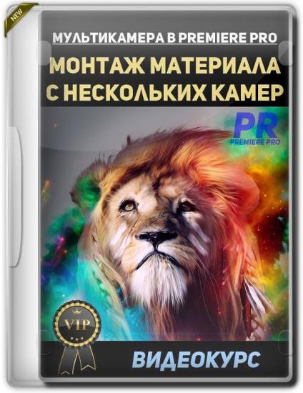Мультикамера в Premiere Pro. Монтаж материала с нескольких камер (2019)