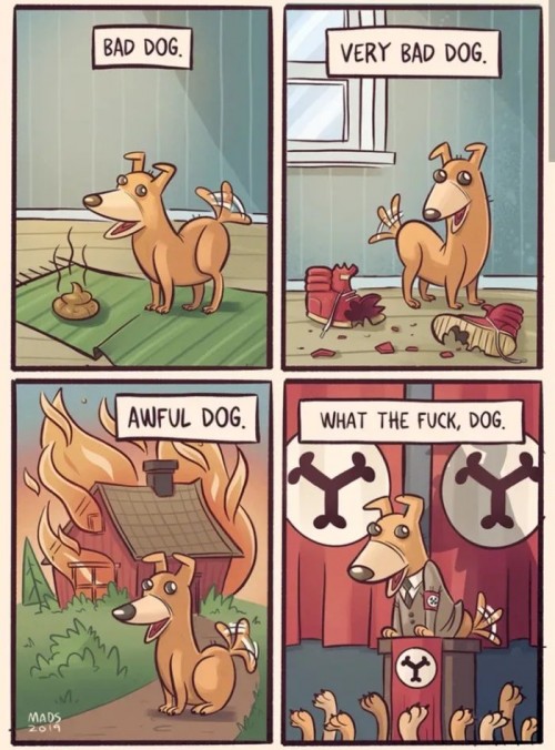 6ff3bvr5.jpg