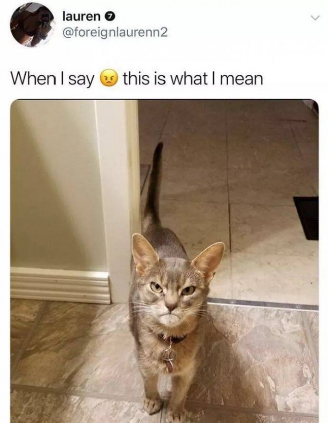 prlbohql.jpg