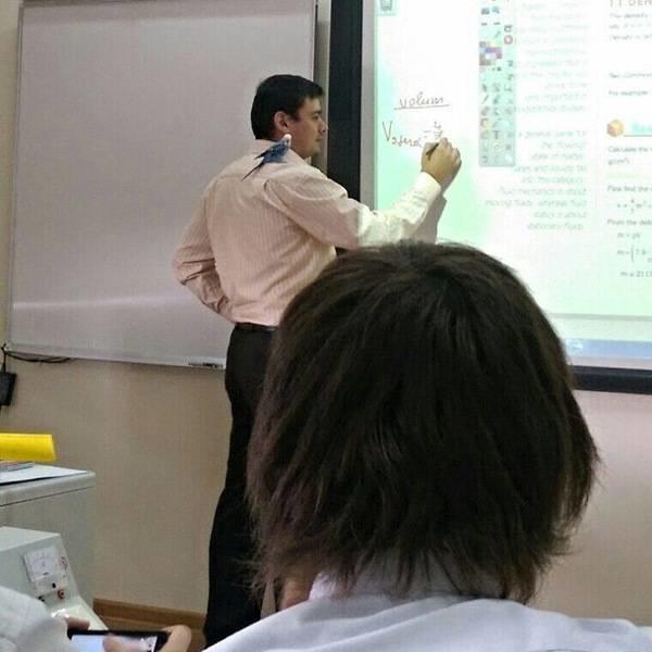 ou8nah2p.jpg