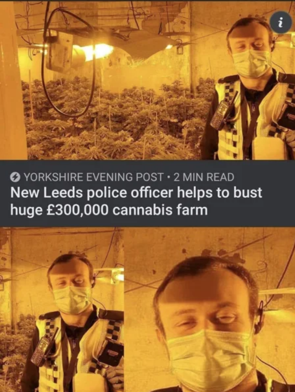 2emru9ii.png