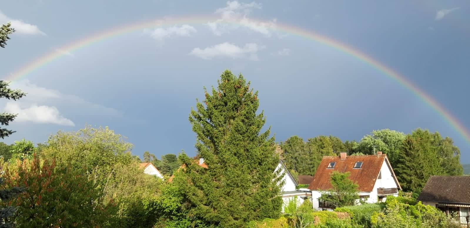 https://s18.directupload.net/images/user/190810/xrzvkllc.jpg